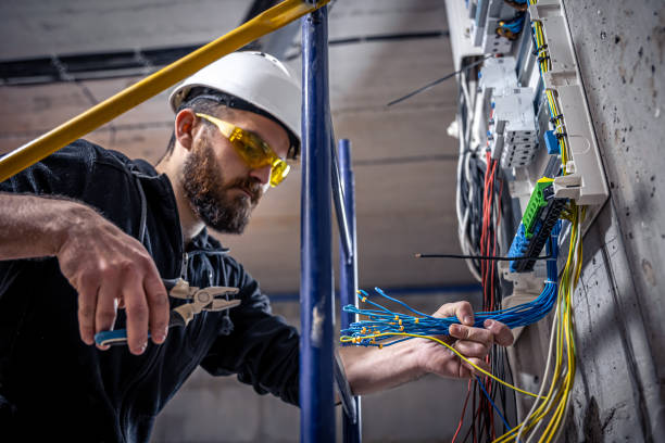 Best Electrician for Home Renovation  in Cobden, IL